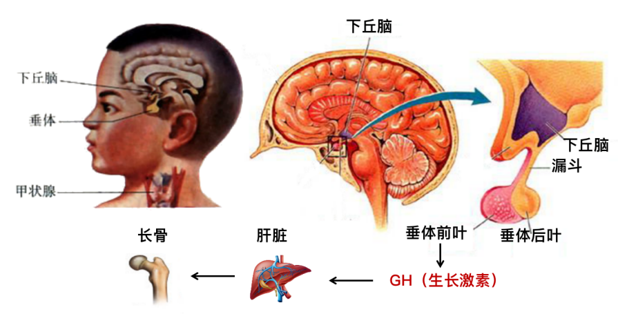 微信图片_20220524102803.png 图片