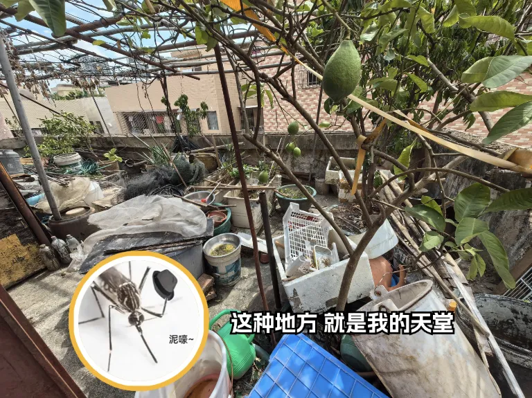 f080e7be-375c-4031-9922-f6b7a2a9704a.png f080e7be-375c-4031-9922-f6b7a2a9704a.png